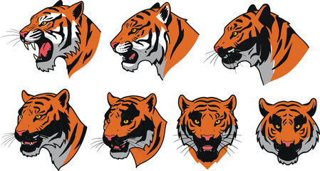 Tiger head illustrations various angles