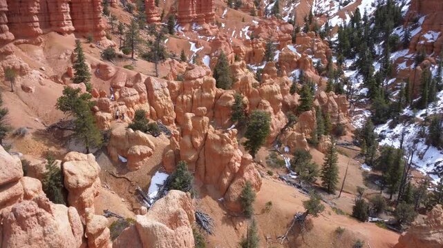Dixie National Forest