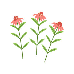 A vibrant bouquet of red roses, poppies, and other colorful flowers with green leaves and other floral plants