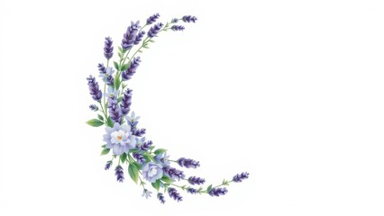 Fototapeta premium A crescent moon floral arrangement of lavender with hand-painted leaves in a vintage botanical illustration.