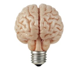 Brain bulb isolated on transparent background