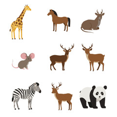 Obraz premium Cute Cartoon Animals Illustration Set Giraffe Horse Deer Zebra Panda Mouse