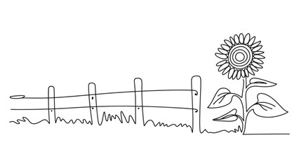Continuous Line Drawing of Sunflower and Fence on Transparent Background in Rural Style