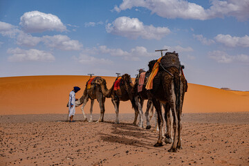guide and camel in the Merzouga desert
