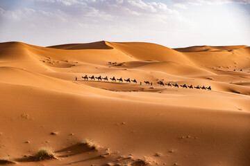 Merzouga desert morocco