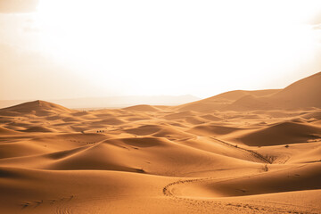 sand dunes in the desert