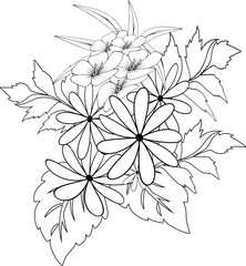 floral coloring page