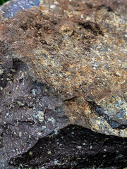 Close-up shot of a textured rock surface showcasing earthy tones of brown, red, and gray