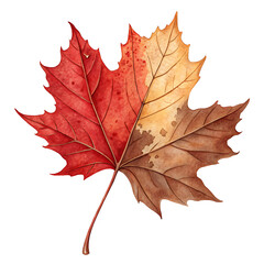 Fototapeta premium Autumn Leaves Falling, Nature, Outdoor, Clipart Happy Holiday Theme, Calm Environment, Close-Up Viewpoint