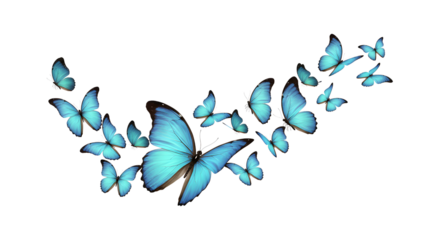 Serene Blue Morpho Butterflies in Flight: Abstract on transparent background, Elegant and Peaceful Mood, Nature Stock Image.