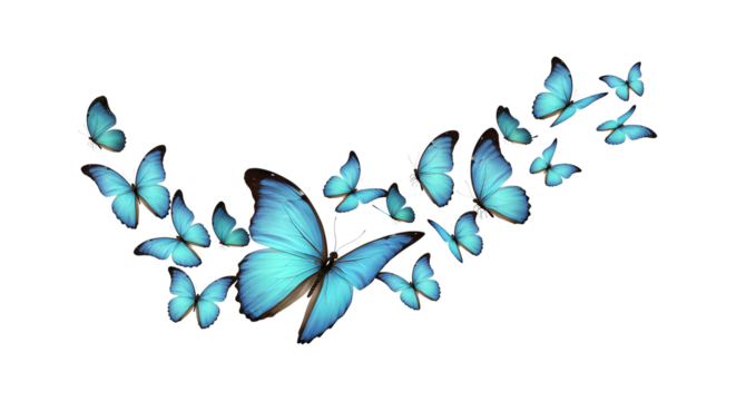 Serene Blue Morpho Butterflies in Flight:  Abstract on transparent background,  Elegant and Peaceful Mood,  Nature Stock Image.