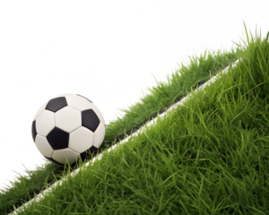 surf board. Luxury surfboard. isolated on blank background PNG