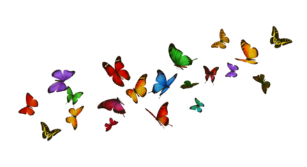 Vibrant Rainbow Butterflies in Flight: Abstract transparent background, Joyful, Spring Theme Stock Image
