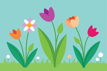 tulip flowers vector illustration