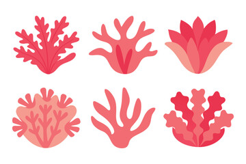 Fototapeta premium Coral set flat vector illustration on white background