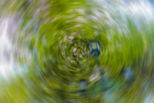 Abstract blurry background featuring a swirl of green foliage, suggesting a park or garden setting. The blurred motion creates a dynamic and dreamy effect, suitable for various creative projects.