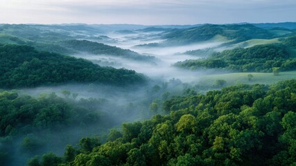 Serene meadow used in eco therapy showcases lush greenery and misty hills, creating peaceful atmosphere for relaxation and healing