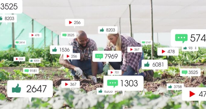 Co-workers kneeling greenhouse digging planting seedlings causing social icons rising then fading