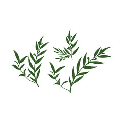 Dark green stylized sprigs of leaves and branches arranged in a simple design.