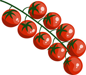 Tomato Illustration, Cherry Tomatoes with Stem Vector Illustration 