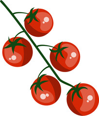 Tomato Illustration, Cherry Tomatoes with Stem Vector Illustration 