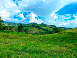Paisaje de verdes colinas en la zona cafetera. Colombia.