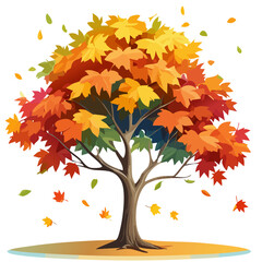 Representation image of Japanese maple trees