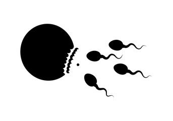 Black and white graphic illustration of sperm cells fertilizing an egg on a white background