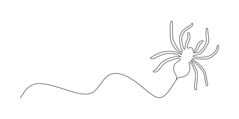 spider web design with lines crawling up, for halloween