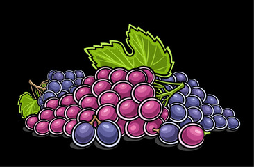 Vector logo for Grapes