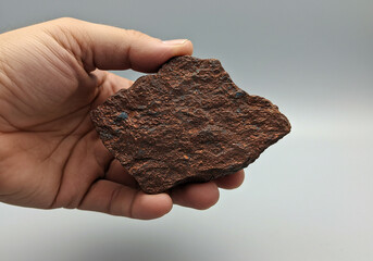 A hand holding a reddish brown rock with small golden specks against a white background