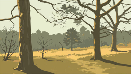 Fototapeta premium Dry Sclerophyll Forest with Eucalyptus Trees and Sparse Underbrush in Natural Landscape