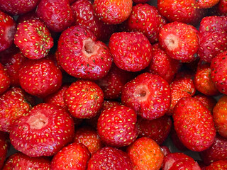The frame is filled with a red berry.Strawberries photographed from an upper angle.