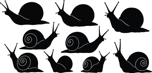Snail silhouette vector set, black garden snail icons, spiral shell illustration, animal graphic collection for nature, logo, print, and design.
