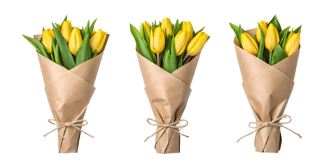 Set For bouquets of yellow tulips are isolated on transparent background