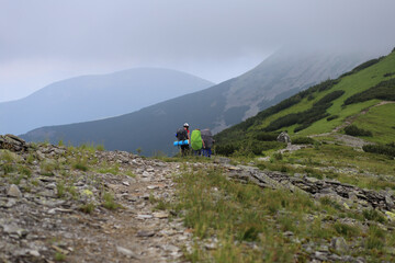 Fototapeta premium Hikers with Backpacks Walking Along a Carpathian Mountain Slope