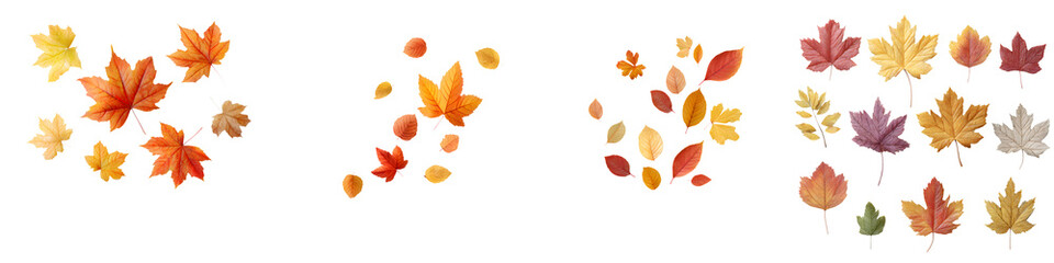 Obraz premium Autumn Leaves Collection Isolated on White Background