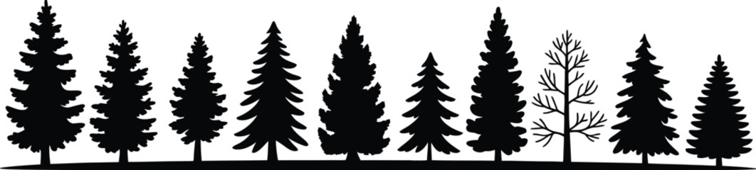 Obraz premium Evergreen trees forest silhouette nature pine trees