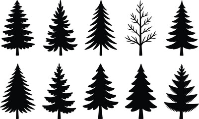 Evergreen and bare tree silhouettes evergreen trees