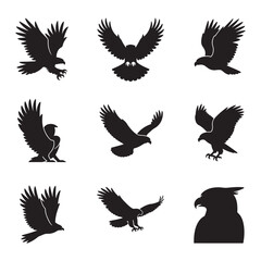 Set of Eagle Silhouettes Vector Illustration of Bird of Prey with wings spread for Wildlife and Nature Enthusiasts