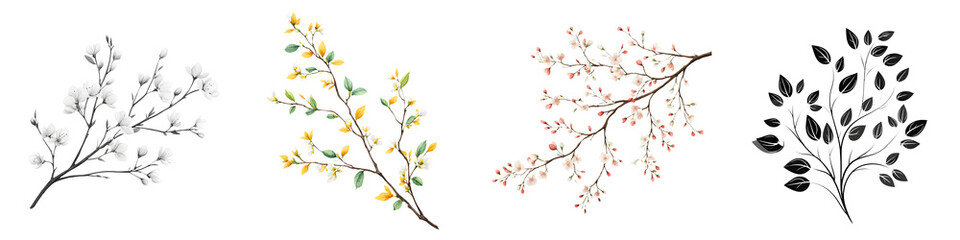 Delicate Branch Illustrations: Floral Elements in Various Styles