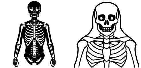 Skeleton Icon for Halloween, Anatomy, and Horror Themes