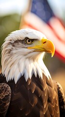 Obraz premium Bald eagle portrait against US flag