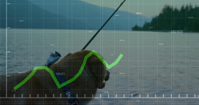 Panting initiating data overlay dog wearing sensor collar on boat under fishing rod tracking vitals