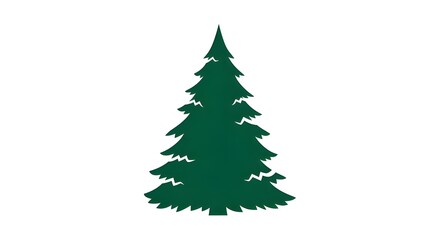 Fototapeta premium Dark Green Pine Tree Silhouette