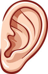 A stylized illustration of a human ear, showing the detailed anatomy.