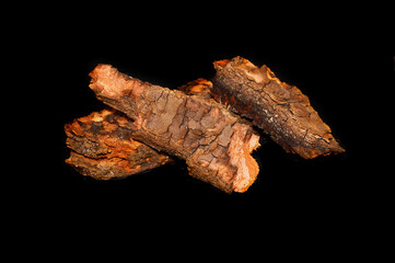 tree bark isolated on white background