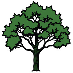 Obraz premium Illustrating the Majestic Beauty of a Full Grown Leafy Tree in Full Bloom