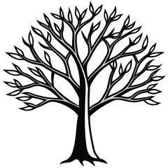 Obraz premium A Majestic Tree with Intricate Branching Patterns Reaching Towards the Sky