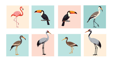 A collection of diverse avian species displayed in a grid format highlighting their unique features and habitats